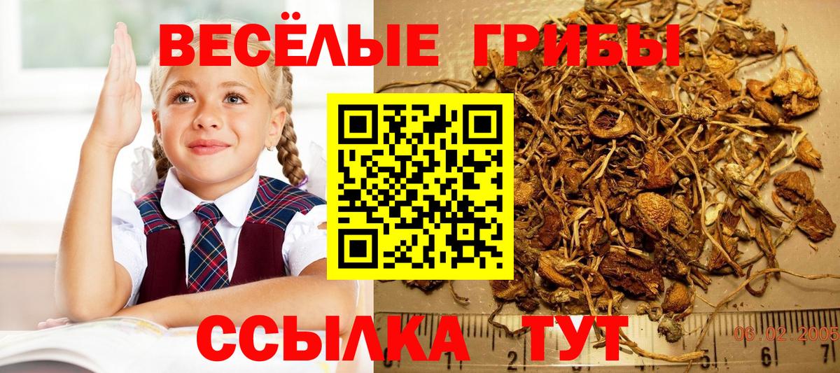 Белебей  Галлюциногенные грибы Cubensis  закладка  Вход с VPN  Галлюциногенные грибы ЛСД 